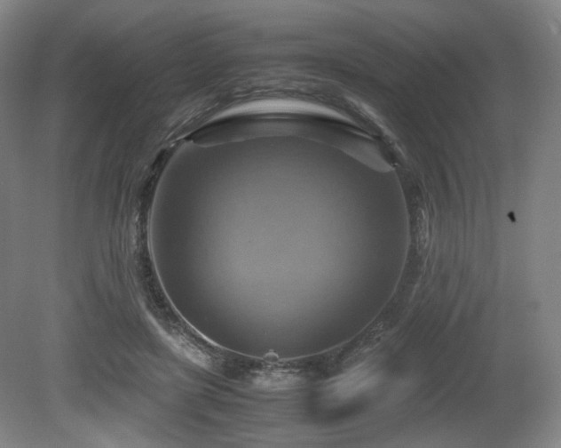 X0000080660451200612151135