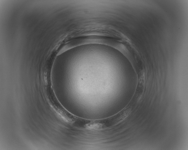 X0000080660452200612151135