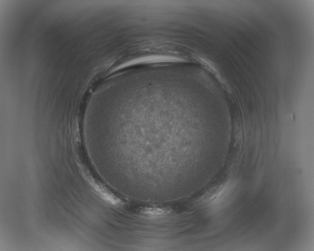 X0000080660453200612151135