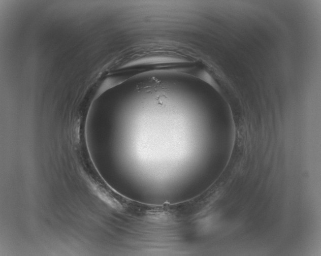 X0000080660454200612151135