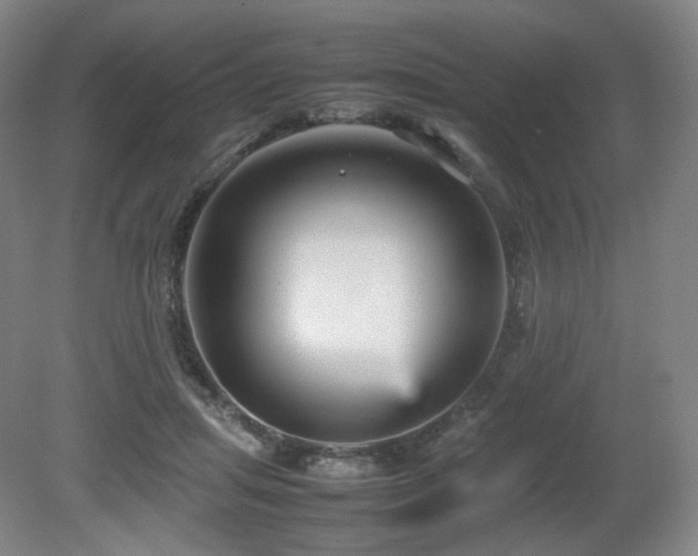 X0000080660455200612151135