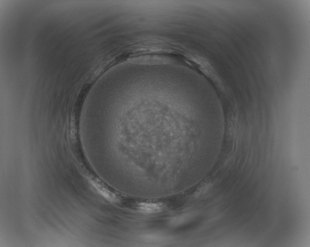 X0000080660457200612151135