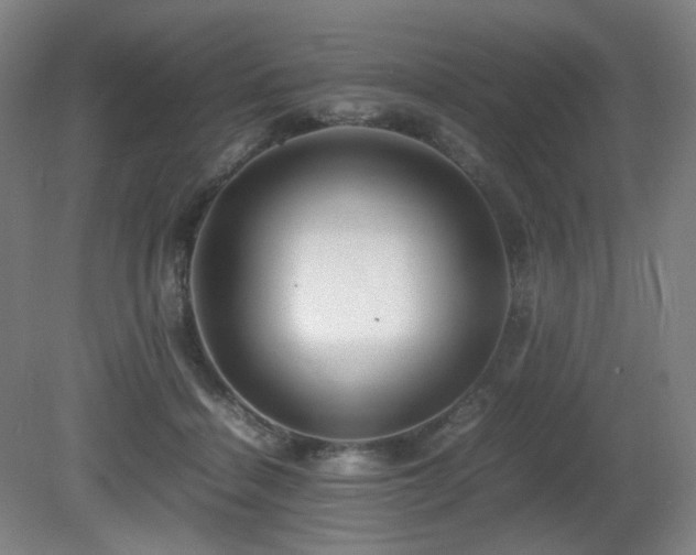 X0000080660460200612151135