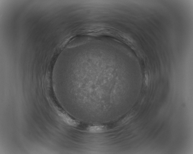 X0000080660461200612151135