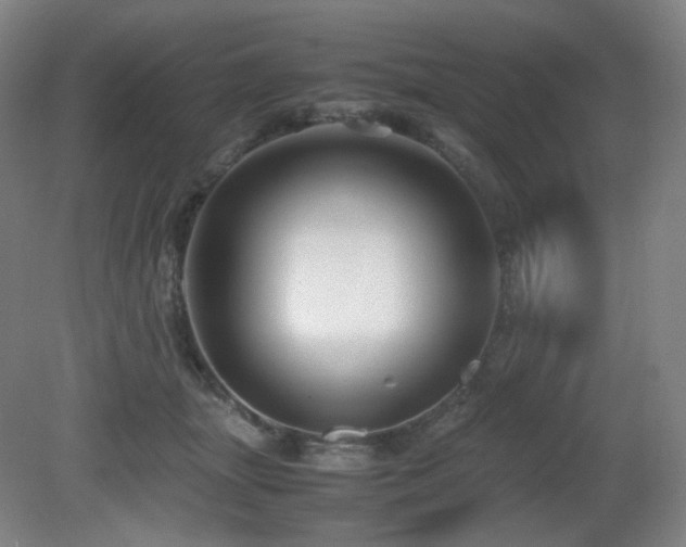 X0000080660463200612151135