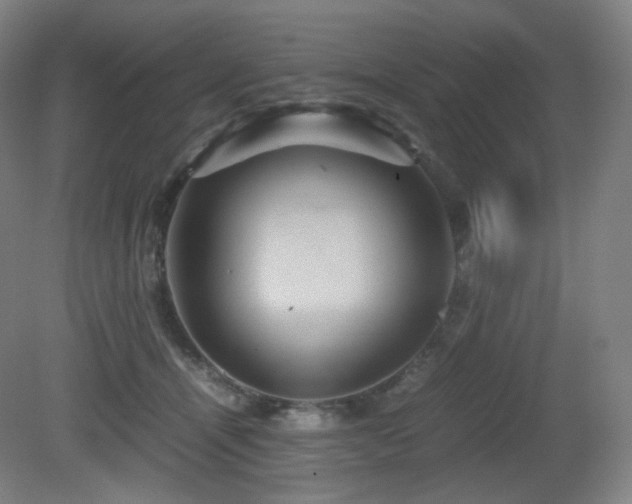 X0000080660464200612151135