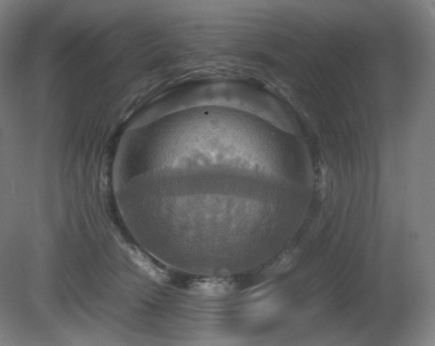 X0000080660466200612151135