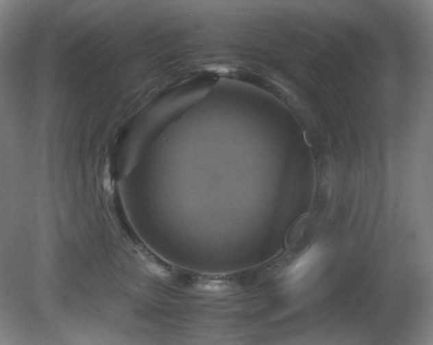X0000080660467200612151135