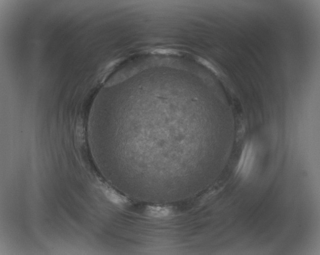 X0000080660469200612151136