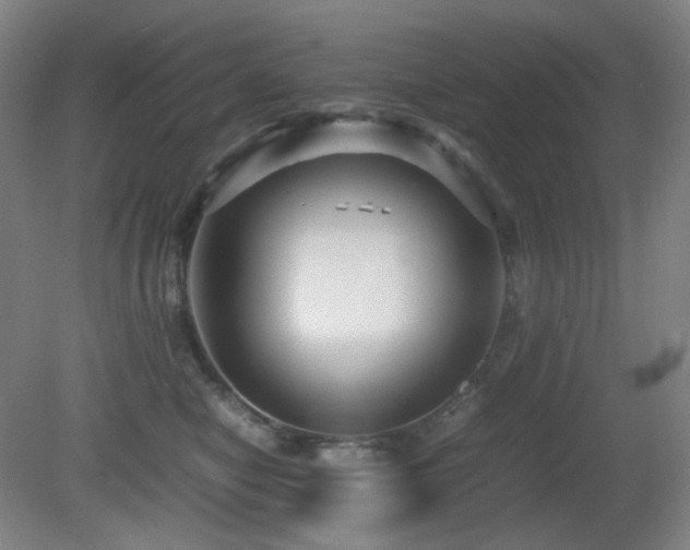 X0000080660470200612151136