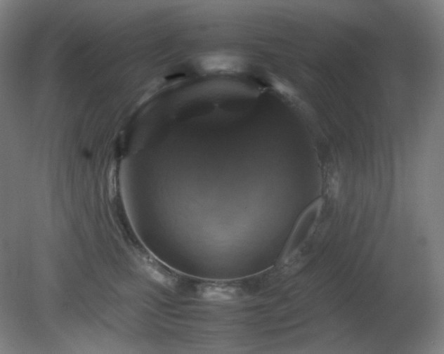 X0000080660471200612151136