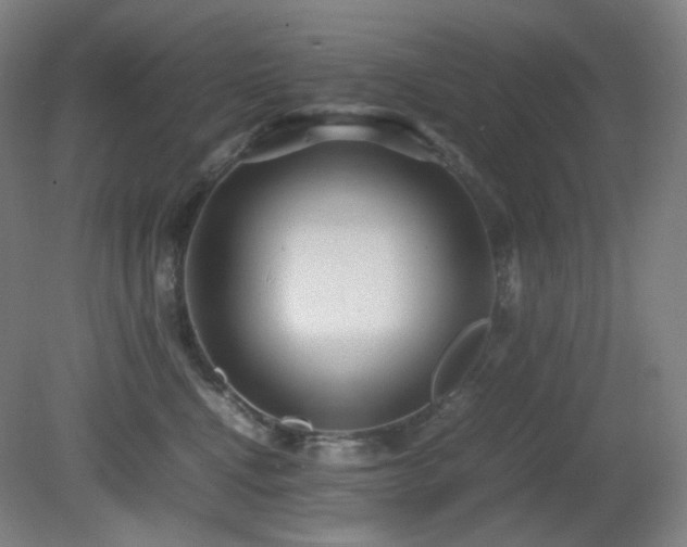 X0000080660472200612151136