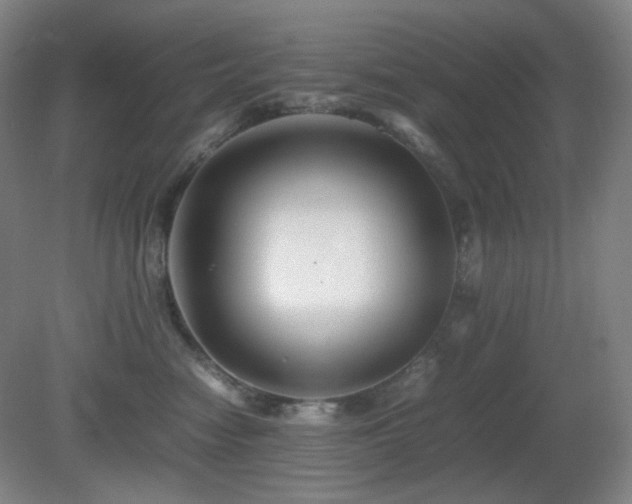 X0000080660474200612151136
