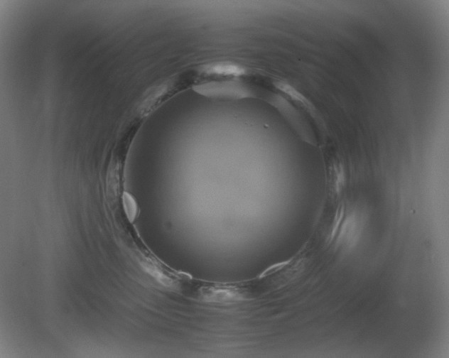 X0000080660475200612151136