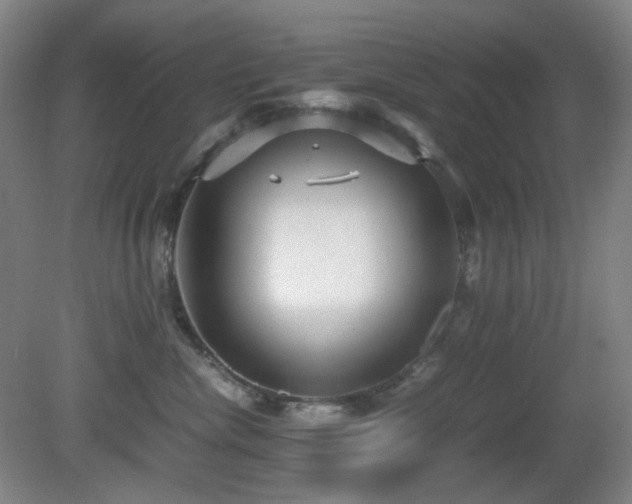 X0000080660476200612151136