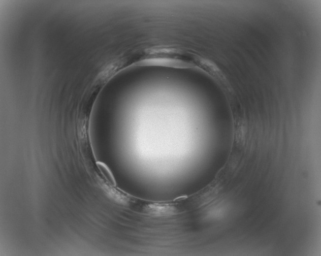 X0000080660477200612151136