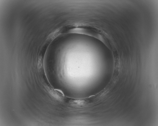 X0000080660478200612151136