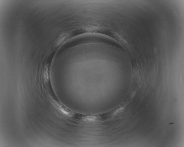 X0000080660479200612151136