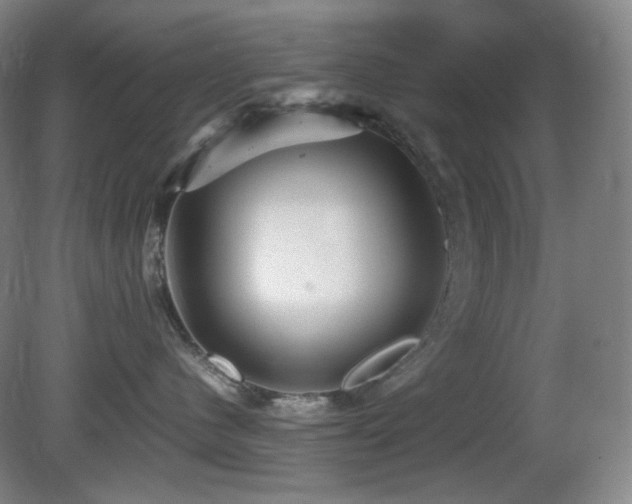 X0000080660480200612151136