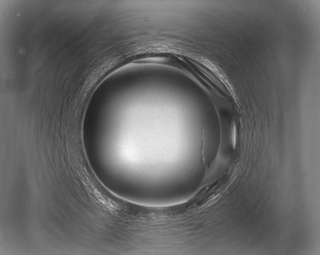 X0000080660481200612151135