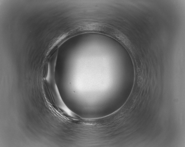 X0000080660482200612151135