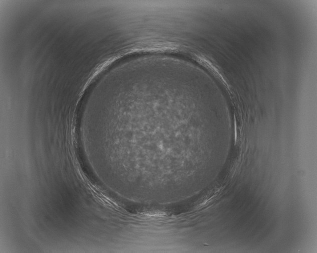 X0000080660483200612151135