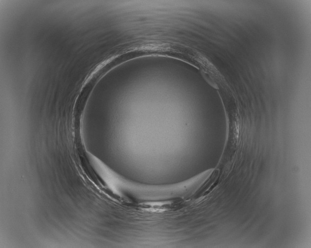 X0000080660484200612151135
