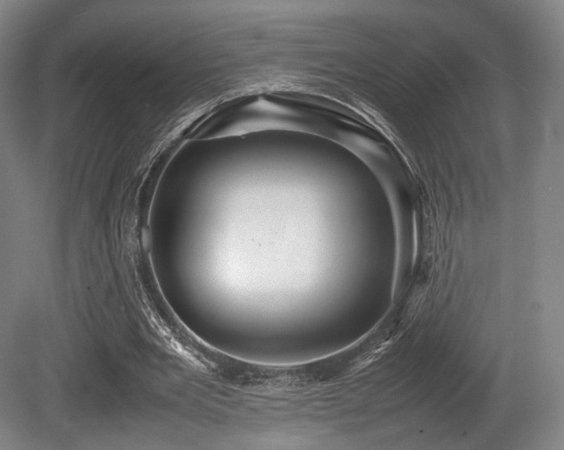 X0000080660485200612151135