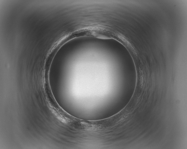 X0000080660486200612151135