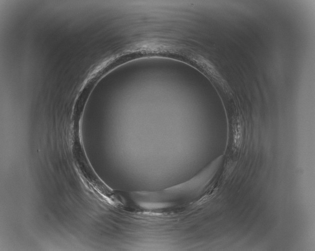 X0000080660488200612151135