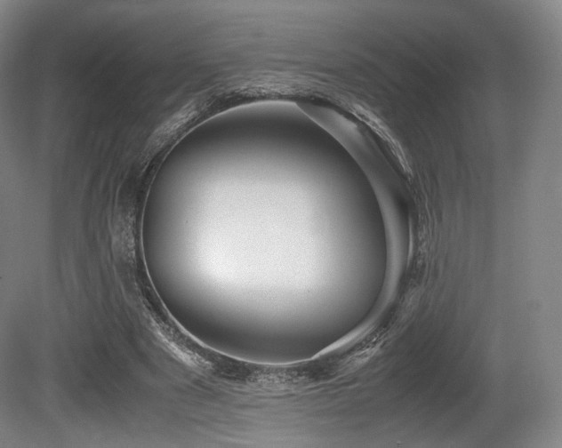 X0000080660489200612151135
