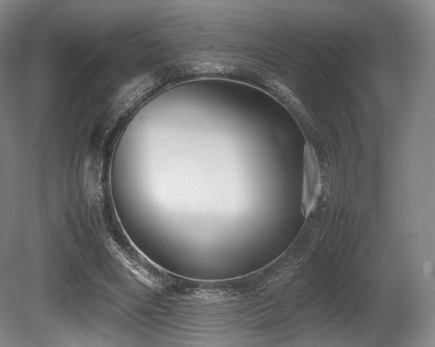 X0000080660490200612151135