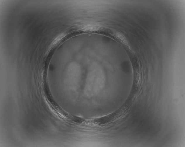 X0000080660491200612151135