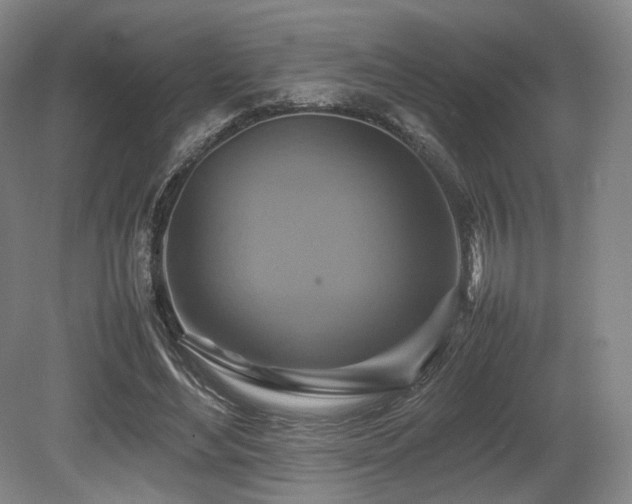 X0000080660492200612151135