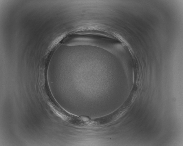 X0000080660493200612151135