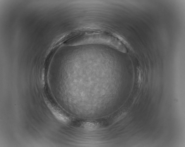 X0000080660494200612151135
