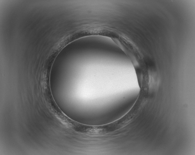 X0000080660497200612151135