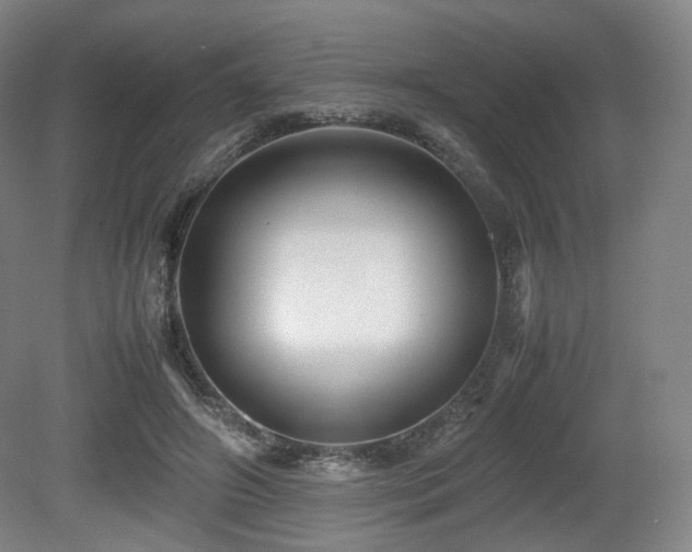 X0000080660498200612151135