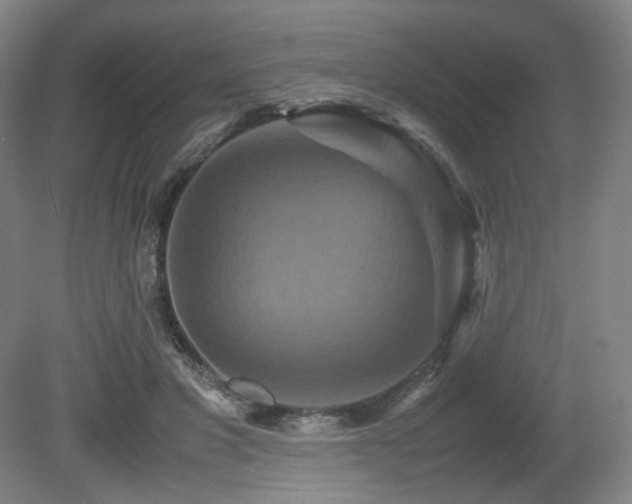 X0000080660501200612151135