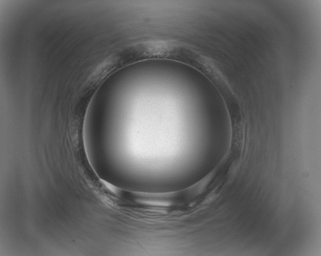 X0000080660505200612151134