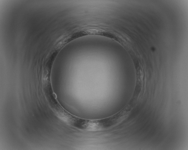 X0000080660507200612151134