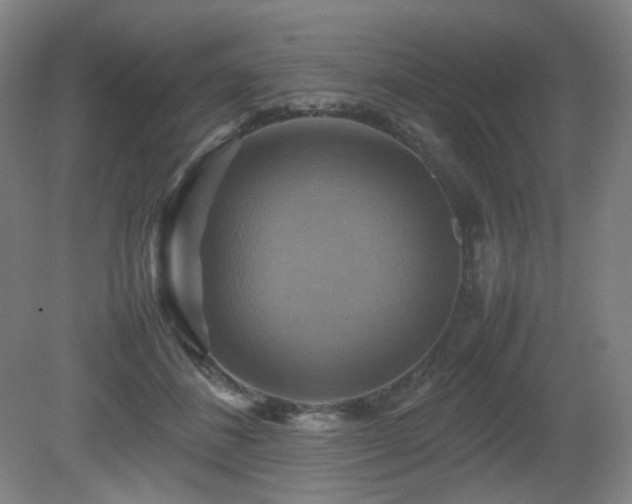 X0000080660508200612151134