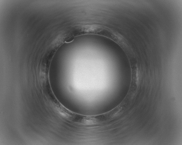 X0000080660510200612151134