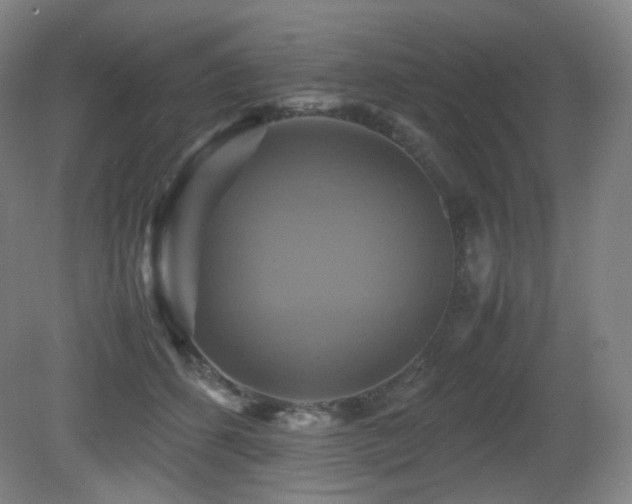 X0000080660512200612151134