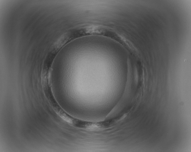 X0000080660513200612151134