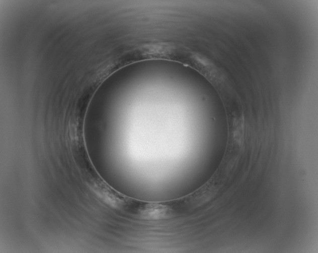 X0000080660514200612151134