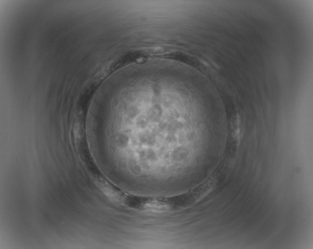 X0000080660515200612151134