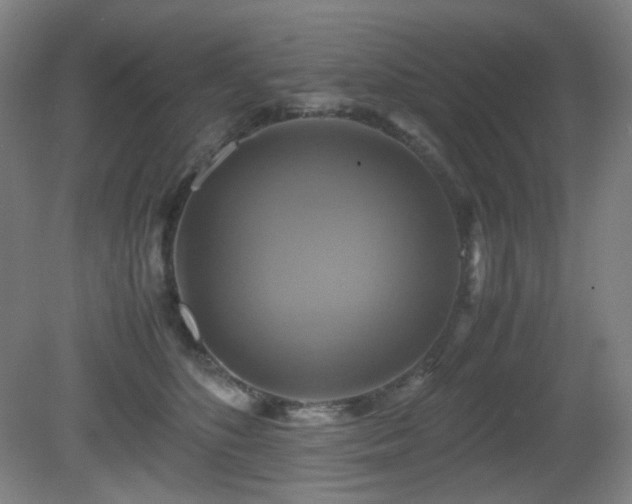 X0000080660516200612151134