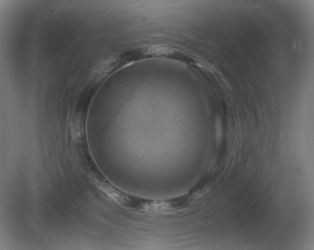 X0000080660517200612151134