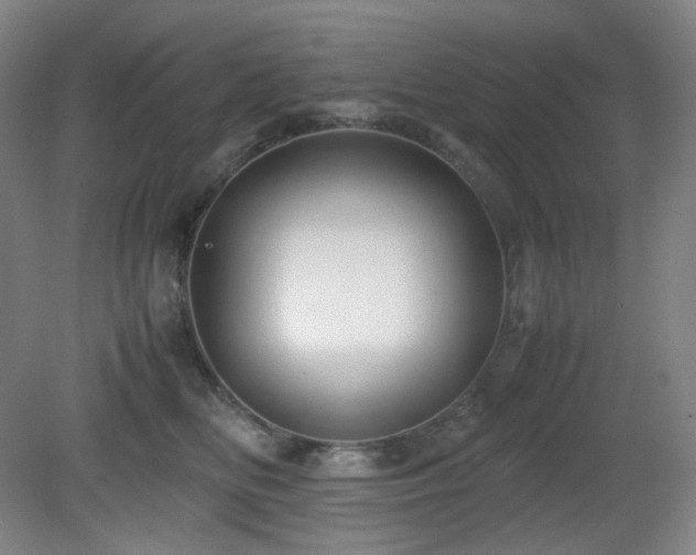 X0000080660518200612151134